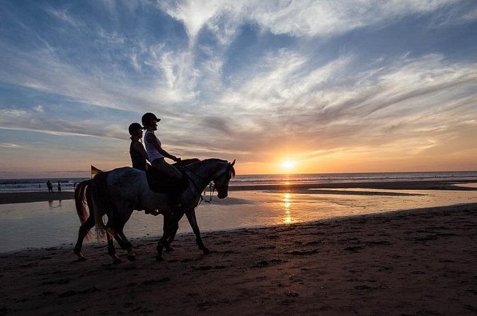 Horse Riding on the Black Sand Beach and Free Hotel Transfers - Is $74 good value?