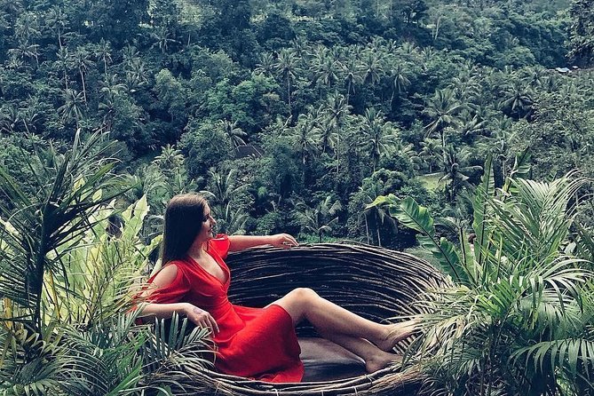 Individual Bali Day Trip with Private Driver and Free WiFi - North and West Bali: longer drives, quieter views