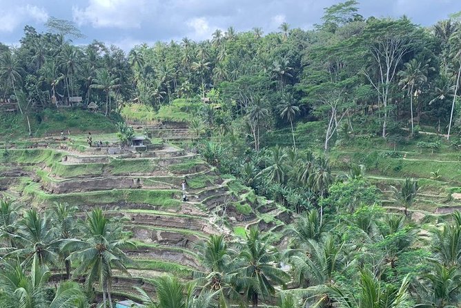 Individual Bali Day Trip with Private Driver and Free WiFi - East Bali and the early start for Lempuyang