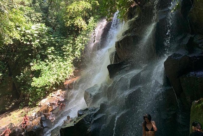 Individual Bali Day Trip with Private Driver and Free WiFi - Markets, monuments, and city stops