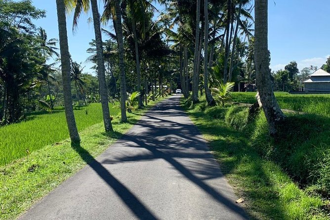 Individual Bali Day Trip with Private Driver and Free WiFi - What your driver can and cannot do