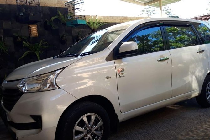 Individual Bali Day Trip with Private Driver and Free WiFi - Timing, traffic, and the 15-minute stop problem