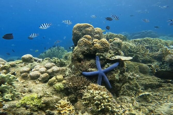 Island Hoping 5 Gili : Gili Gede, Asahan, Rengit, Layar & Goleng - Gili Asahan, the best base for a longer stay