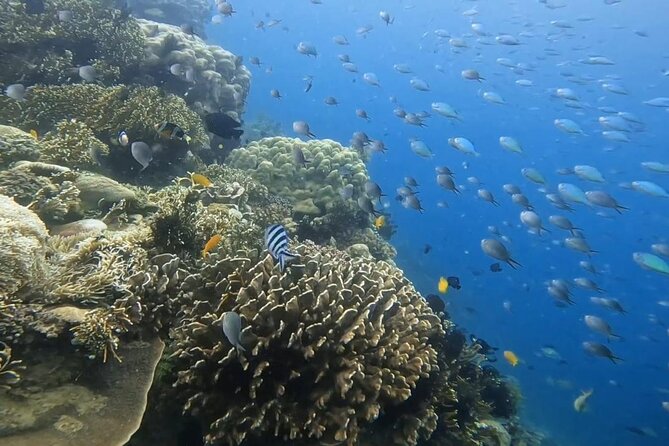 Island Hoping 5 Gili : Gili Gede, Asahan, Rengit, Layar & Goleng - Gili Goleng, confirm the stop before departure