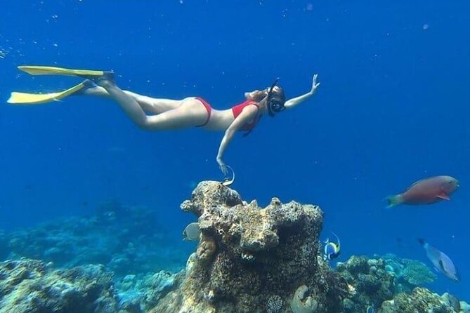 Island Hoping 5 Gili : Gili Gede, Asahan, Rengit, Layar & Goleng - Snorkeling conditions and marine life