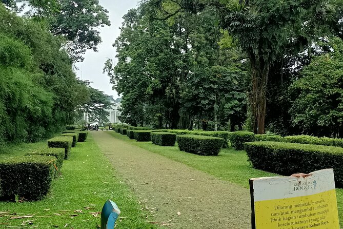 Jakarta Bogor Botanical Garden, Waterfall and Rice terrace, Lunch - Leaving Jakarta for the cooler hills of Bogor