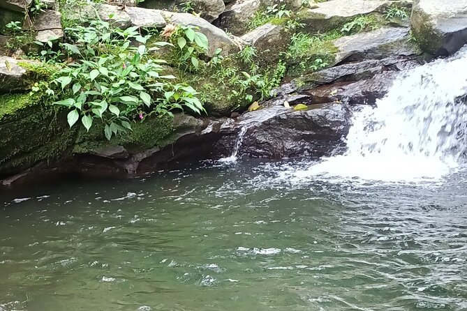 Jakarta Bogor Botanical Garden, Waterfall and Rice terrace, Lunch - Wayang golek, a family craft with a personal touch