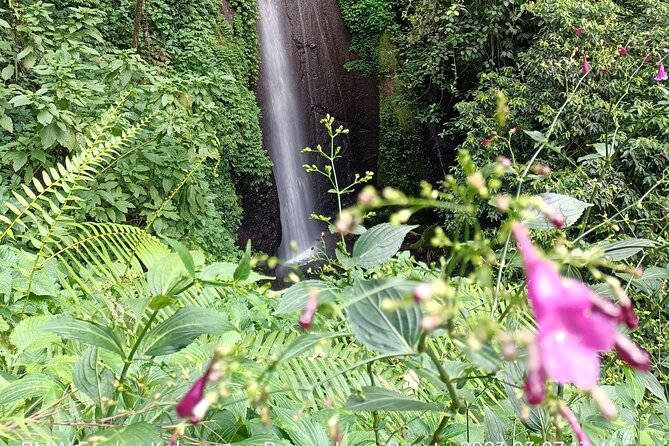 Jakarta Bogor Botanical Garden, Waterfall and Rice terrace, Lunch - Why the private format helps