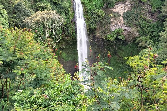 Jakarta Bogor Botanical Garden, Waterfall and Rice terrace, Lunch - A Sundanese lunch with Mount Salak views