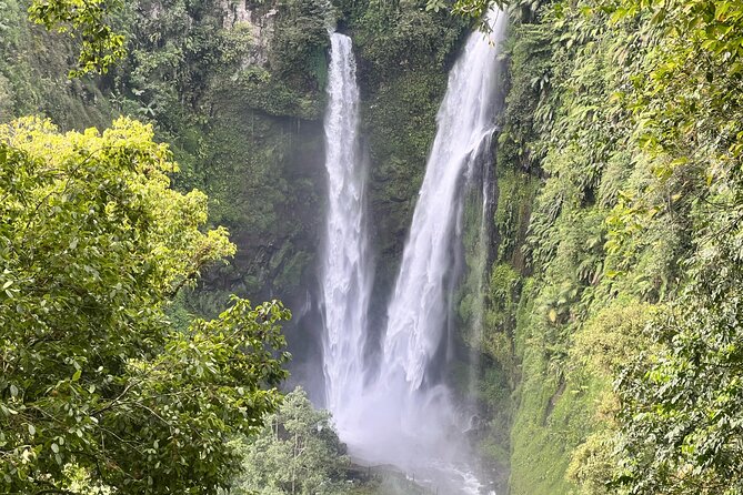 Jakarta Rainforest Hiking to Hidden Waterfall & Suspension Bridge - Key points to know before booking