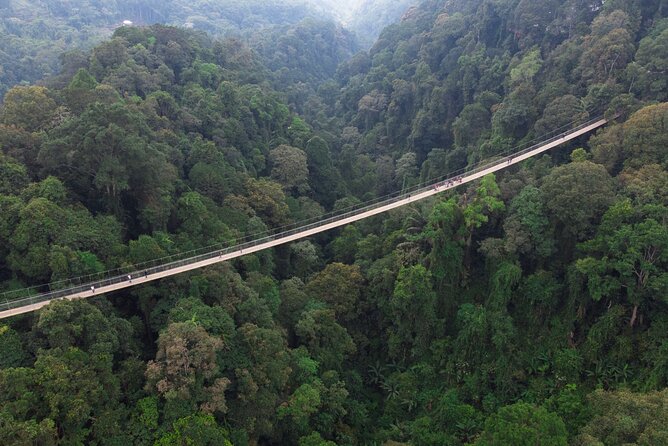 Jakarta Rainforest Hiking to Hidden Waterfall & Suspension Bridge - The four-hour walk into Gede Pangrango National Park