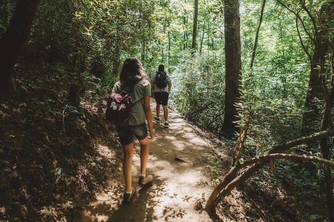 Jakarta Rainforest Hiking to Hidden Waterfall & Suspension Bridge - Who will enjoy this day most