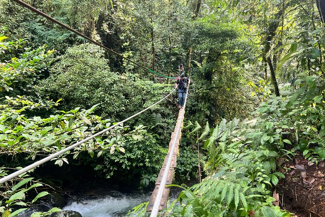 Jakarta Rainforest Hiking to Hidden Waterfall & Suspension Bridge - Weather, cancellation, and practical planning
