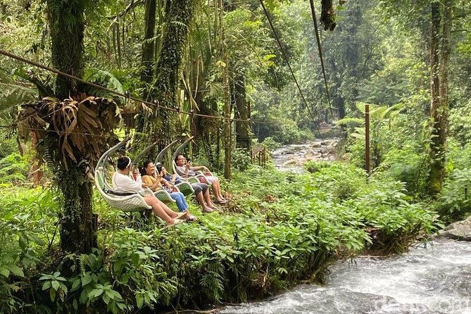 Jakarta Rainforest Hiking to Hidden Waterfall & Suspension Bridge - Is the $133.79 price fair?
