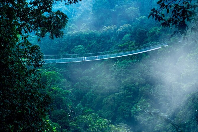 Jakarta Rainforest Hiking to Hidden Waterfall & Suspension Bridge - Curug Sawer and the 1.5-kilometer short track