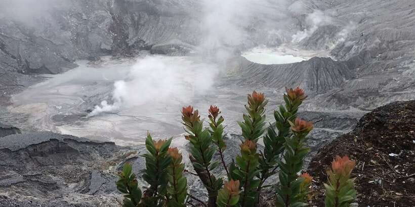 Jakarta: Volcano, Tea/Rice Fields, Hot Spring, Local Food - Subang, rice fields, and the working countryside