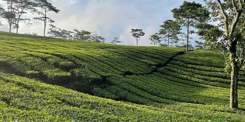 Jakarta: Volcano, Tea/Rice Fields, Hot Spring, Local Food - Sari Ater Hot Springs after a long day