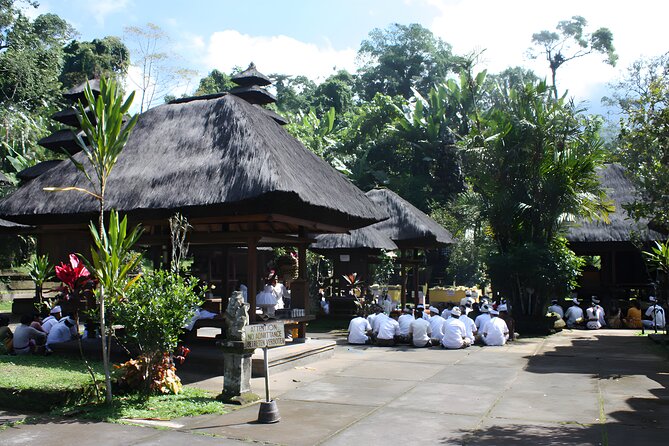 Jatiluwih VW Safari Bali Tour - Volkswagen Classic Car Trip - What $40 really gets you