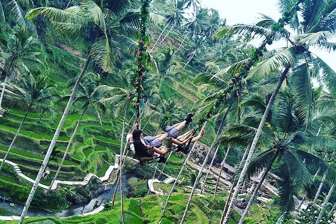 Jungle Swing & White Water Rafting Experience - The jungle swing and the photo factor