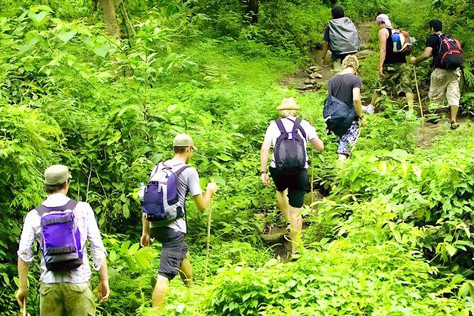 Jungle Trekking and Tamblingan Lake Canoeing in Bali Rainforest - A temple stop with real cultural context