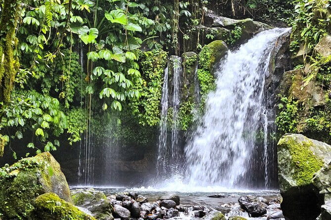 Jungle Trekking at Mt. Batukaru, scenic Waterfall & village life - Why Mount Batukaru feels different from Bali’s busy south