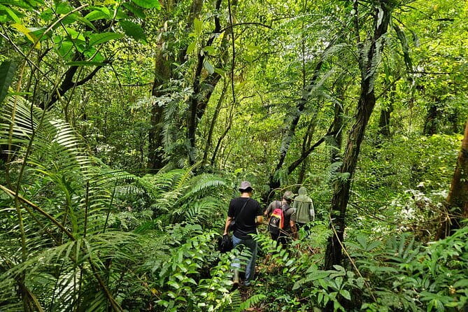 Jungle Trekking at Mt. Batukaru, scenic Waterfall & village life - Pura Luhur Batukaru, a quiet start beside the mountain