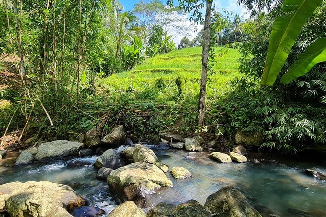 Jungle Trekking at Mt. Batukaru, scenic Waterfall & village life - Two hours in the rainforest with a local ranger