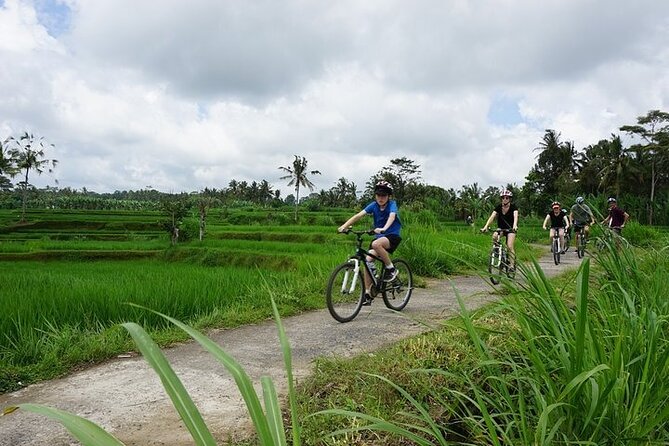 Kintamani Cultural and Nature Cycling Tour ( Manual Bike ) - A local home in Abuan village