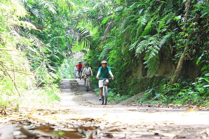 Kintamani Cultural and Nature Cycling Tour ( Manual Bike ) - Bresela rice fields and the water that makes them work