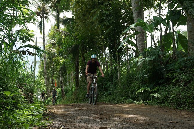 Kintamani Cultural and Nature Cycling Tour ( Manual Bike ) - Morning pickup and the first coffee stop