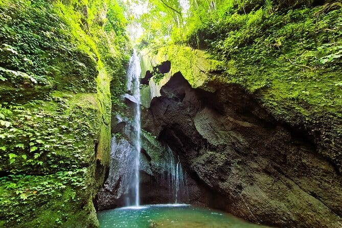 Kintamani Volcano View Tour - Tegalalang brings the day back to agriculture