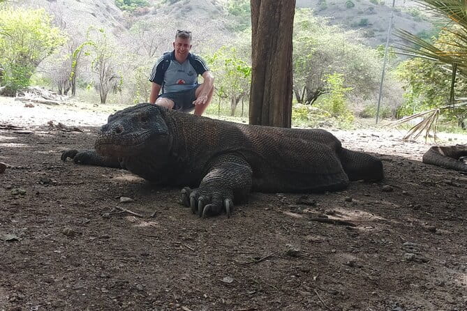 Komodo Island Adventure from Bali (Day Trip) - Food, equipment, and what you need to bring