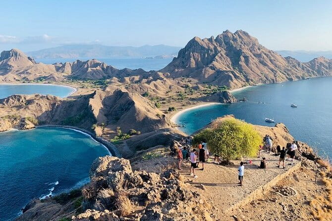 Komodo Islands with Speedboat in Labuhan Bajo - Komodo Island: see the dragons with a ranger