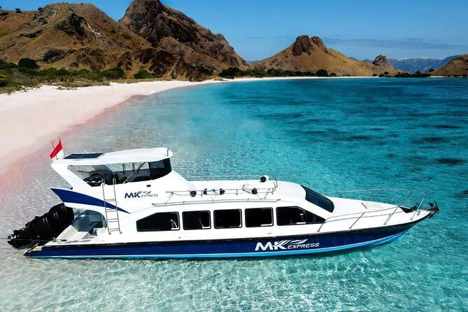 Komodo Islands with Speedboat in Labuhan Bajo - What the $125 price really covers