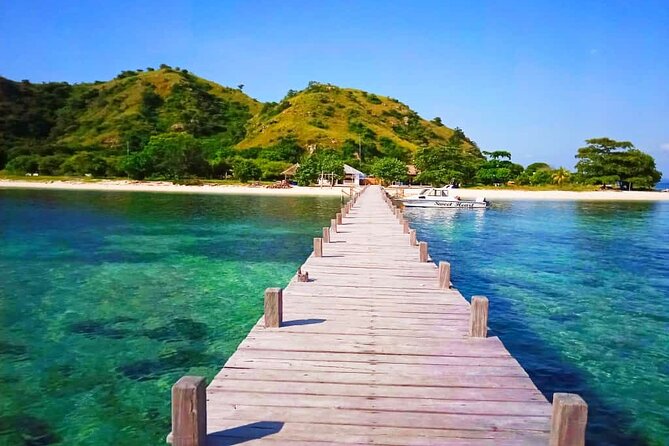 Komodo Tour 3D/2N Live on Board -Join Group Category-Share Cabin - Who will enjoy this Komodo trip most