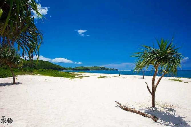 Kuta Tour (South Of Lombok Beutiful Tour) - Tanjung Aan Beach: a coastal pause with room for contrast