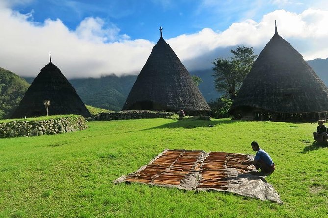 Labuan Bajo Countryside Tour - Day 2: Ruteng’s rice terraces and rural views