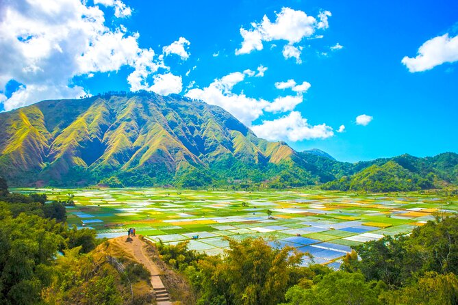 Lombok: Exclusive Sendang Gile, Tiu Kelep & Selong Hill Tour - Tiu Kelep: the main jungle walk and waterfall stop