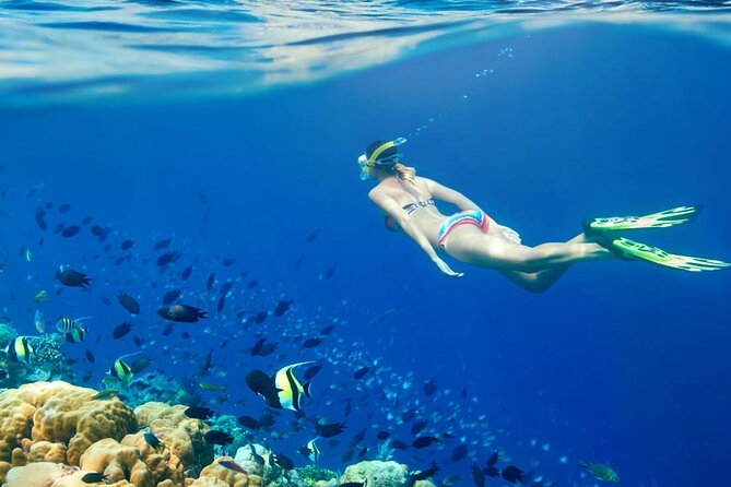 Lombok Pink Beach Boat Trip (Full Day + Snorkeling) - Pink Beach, beautiful even when the color fades