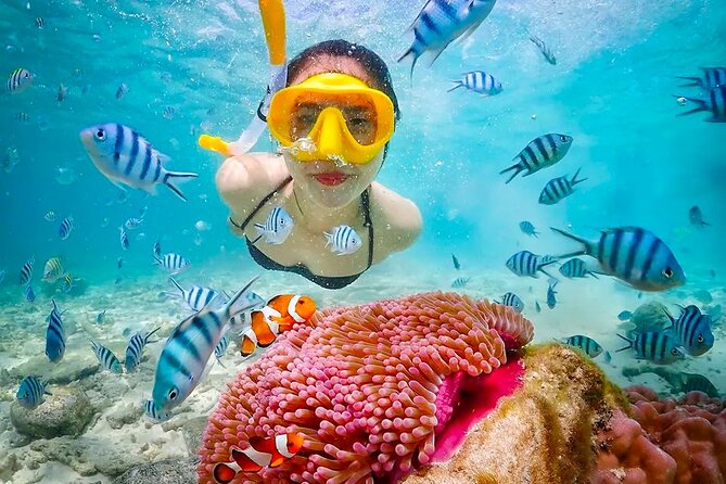 Lombok Pink Beach Boat Trip (Full Day + Snorkeling) - Snorkeling, the part worth prioritizing