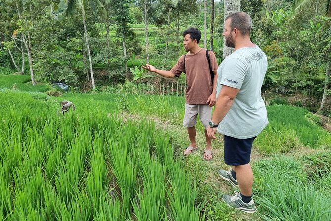 Lombok Private Customize Tour - Inland Lombok: rice fields, markets, and local customs