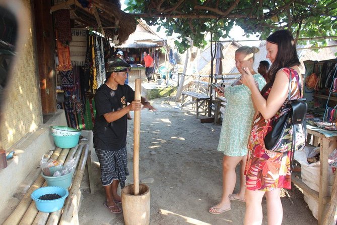 Lombok Private Tour Waterfall And Traditional Village Including Beach - The car, driver, and pace of the day