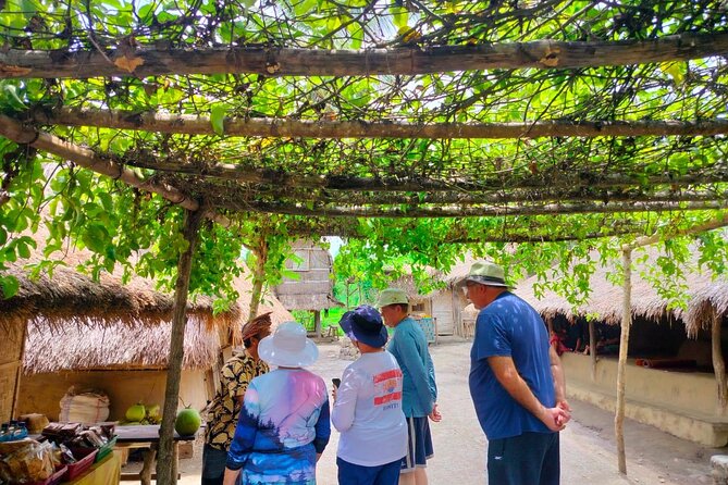 Lombok Tour For Cruise Passangers - Local lunch with beach views