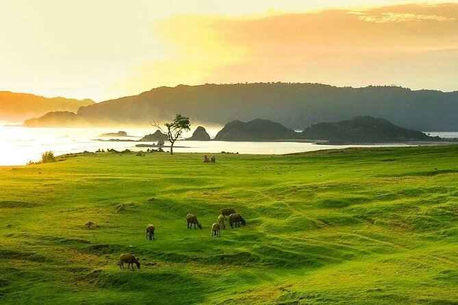 Lombok Tour For Cruise Passangers - What the price includes, and what it leaves out