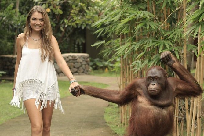 Lombok Wildlife Park Ticket - Meeting orangutans and choosing the right package