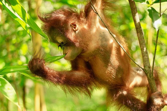 Lombok Wildlife Park Ticket - How four to five hours can work for you