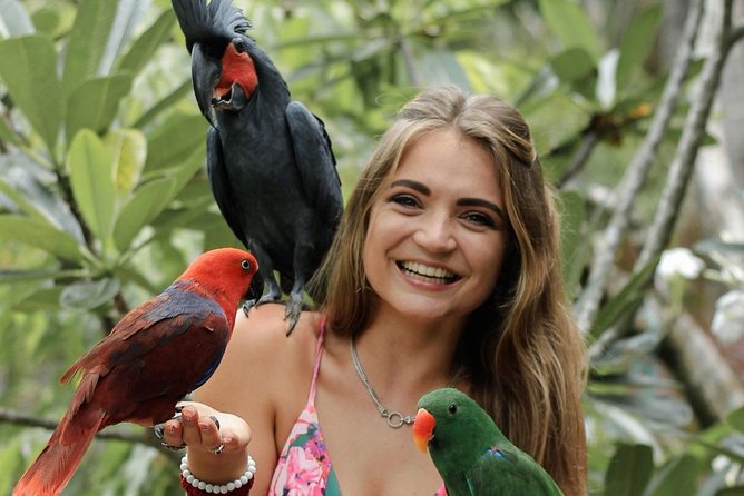 Lombok Wildlife Park Ticket - Food, breaks, and the rhythm of the visit