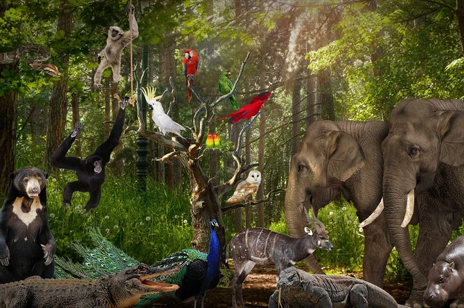 Lombok Wildlife Park Ticket - Who will get the most from this visit