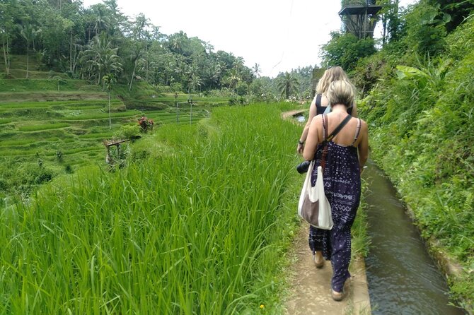 Magic Of Ubud Temple Swing And Waterfall Private Guided Tour - Tampaksiring village and a cup of local refreshment