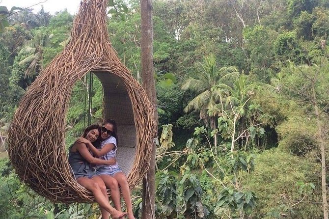 Magic Of Ubud Temple Swing And Waterfall Private Guided Tour - Transport, timing, and the private format